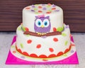 Beatiful Colorful Cake wit Baby Owl on a Branch with leaves