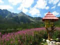 Beatiful flowers in the middle of warm spring in High Tatras with tourist sign Royalty Free Stock Photo