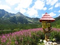 Beatiful flowers in the middle of warm spring in High Tatras with tourist sign Royalty Free Stock Photo