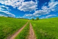 Beatiful green grass lawn hill to forest under cloudy sky