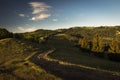 Beatiful green landscape with fir trees and country road. Comanesti, Romania Royalty Free Stock Photo