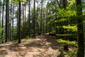 Beatiful landscape of the pfÃÂ¤lzer wald wood hills, rheinland-pfalz, germany