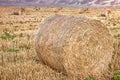 Beatiful landscape at sunset after harvest, round straw bales on farmland, straw rolls on farmer field Royalty Free Stock Photo