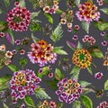 Beatiful lantana flowers with green leaves on grey background. Seamless floral pattern. Watercolor painting. Royalty Free Stock Photo