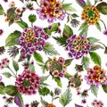 Beatiful lantana flowers with green leaves on white background. Seamless floral pattern. Watercolor painting.