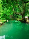 Beatiful nature of Blue lagoon Vang vieng Laos Royalty Free Stock Photo