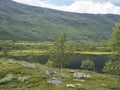 Beatiful northern artic landscape, tundra in Swedish Lapland with dark lake water,green hills and mountains and birch