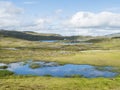 Beatiful northern artic landscape, tundra in Swedish Lapland with vivid blue lakes and pond, lush green grass, hills and mountains