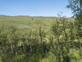 Beatiful northern landscape artic landscape, tundra in Swedish Lapland with green hills, meadow and birch trees at