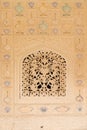 Beatiful ornament on wall of palace in Amber Fort in Jaipur, India Royalty Free Stock Photo