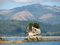 Beatiful rock in Abel Tasman national park New Zealand