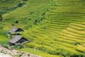 Beatiful rural environmnet near Sapa. Rice terraces and two houses. No people. Vietnam Royalty Free Stock Photo