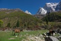 Beatiful scenic view of Four Girl Mountain, Rilong, Sichuan China