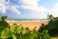 Beatiful secluded beach in Isabela, Puerto Rico Royalty Free Stock Photo