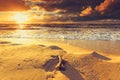 Beatiful sunset with clouds over sea and beach Royalty Free Stock Photo