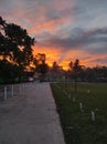 Beautiful sunset in the school yard