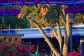 Beatiful tree with Christmas ornaments on colorful background in International Drive area.