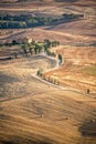 Beatiful typical countryside summer landscape in Tuscany Italy