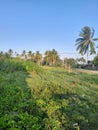 Beatiful view on land near a settlement