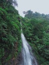 Beatiful Waterfall green landscape