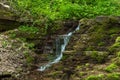 Beatiful waterfall in spring forest. Carpathian, Ukraine.