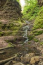 Beatiful waterfall in spring forest. Carpathian, Ukraine.