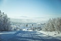 A beatiful winter scenery with a road. Woods in Norway. Royalty Free Stock Photo