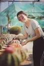 Beatiful woman taking care of cacttus in succulent green house