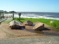 La posta del cangrejo beach in Punta del Este