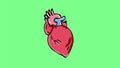 Beating Heart Cartoon 2D Animation