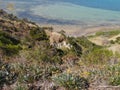 Beatrice point on Kangaroo island