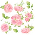 Beatuful watercolor roses bouquets. Wedding clipart. Floral set