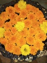 Yellow orange decorated marigold flower