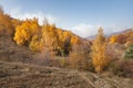 Beatyful natural lanscape background with tree and mount