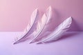 Beatyful and very light airy pink background image 1690446326835 5