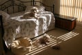 Beau and Fifi Relax in the Morning sunshine Royalty Free Stock Photo