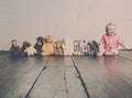 Beau with his Plush Toys Royalty Free Stock Photo