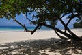 Beau vallon beach in Mahe island, Seychelles Royalty Free Stock Photo