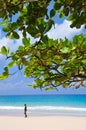 A gentleman strolls along the beautiful beau vallon beach in mahe island, seychelles Royalty Free Stock Photo