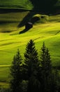 Beauful scene in Dolomites, Alta Badia, green hills with fir and larch