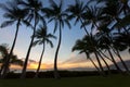 Beauitful South Maui sunet between the palm trees Royalty Free Stock Photo