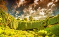 Beauitful view of Umpherston Sinkhole in Mt Gambier, Australia