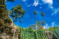 Beauitful view of Umpherston Sinkhole in Mt Gambier, Australia