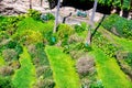 Beauitful view of Umpherston Sinkhole in Mt Gambier, Australia