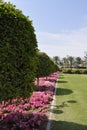 beauitiful garden sky green view