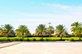 beauitiful garden sky green view