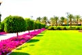 beauitiful garden sky green view