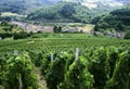 Beaujolais Royalty Free Stock Photo