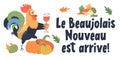 Beaujolais Nouveau has arrived, text in French. Festival of young wine. A cheerful bright colorful rooster with a glass of red