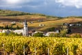 Beaujolais, Rhone-Alpes, France